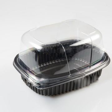 Vaschetta nera con coperchio a cupola trasparente